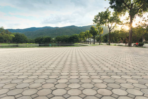 Professional Driveway Pavers in Edenton, NC